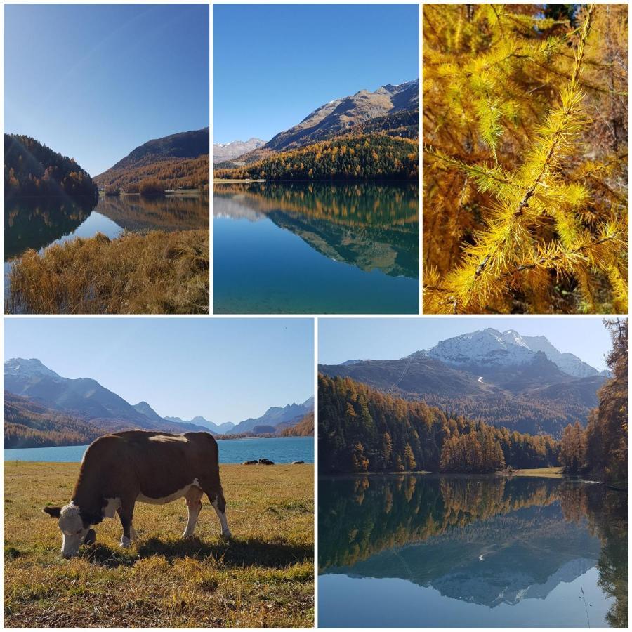Chesa Madrisa Daire Saint-Moritz Dış mekan fotoğraf